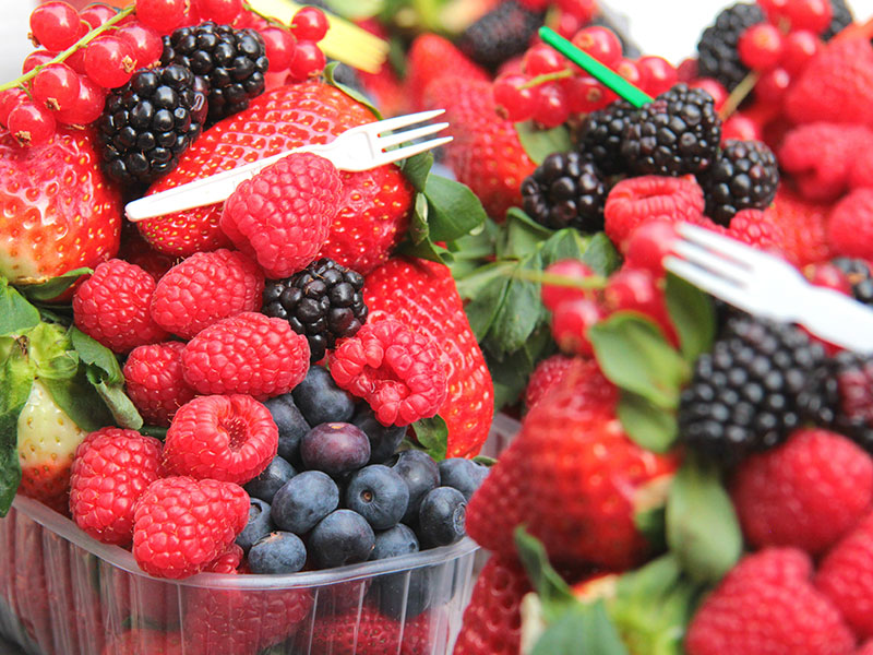 berry picking farm yarra valley