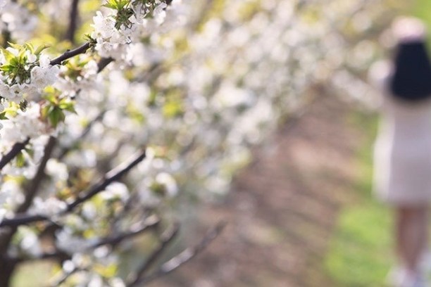 a close up of a flower