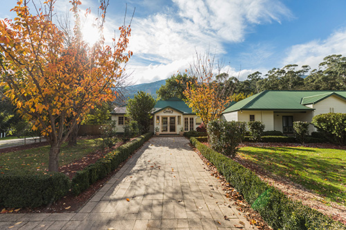 a path with trees on the side of a house