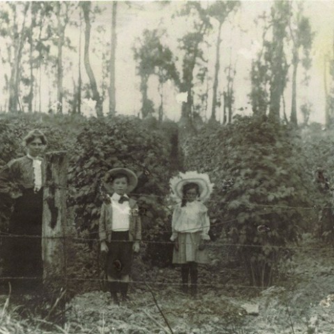a vintage photo of a group of people posing for the camera