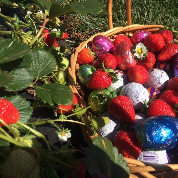 a close up of a fruit stand