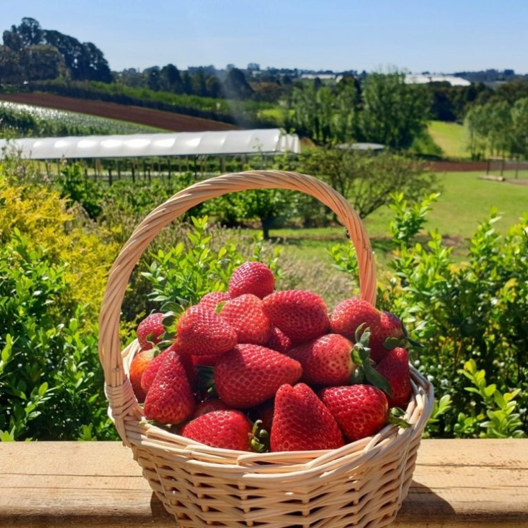 a basket of fruit sitting on top of a wooden table